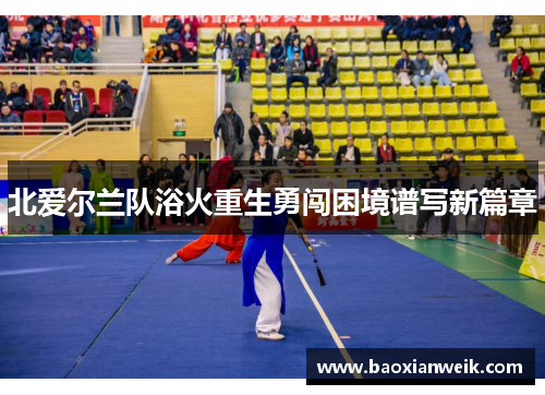 北爱尔兰队浴火重生勇闯困境谱写新篇章