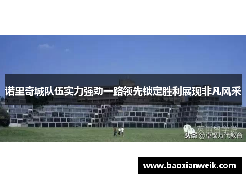 诺里奇城队伍实力强劲一路领先锁定胜利展现非凡风采