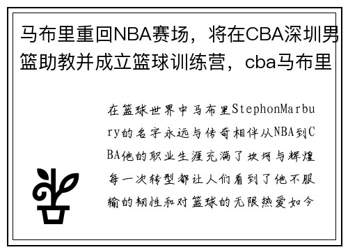 马布里重回NBA赛场，将在CBA深圳男篮助教并成立篮球训练营，cba马布里是哪个球队