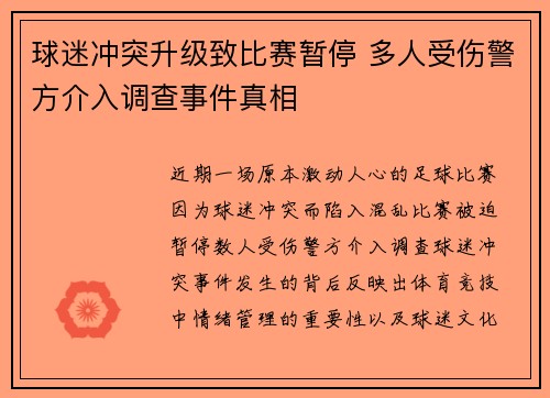 球迷冲突升级致比赛暂停 多人受伤警方介入调查事件真相